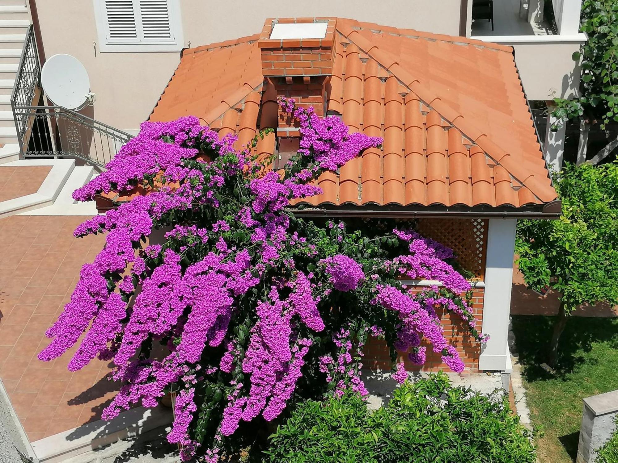 Green Park Apartments 2 Dubrovnik Eksteriør billede